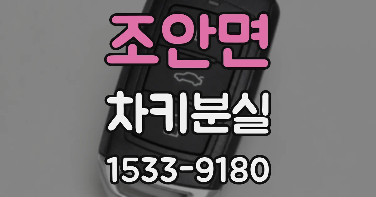 조안면 차키분실