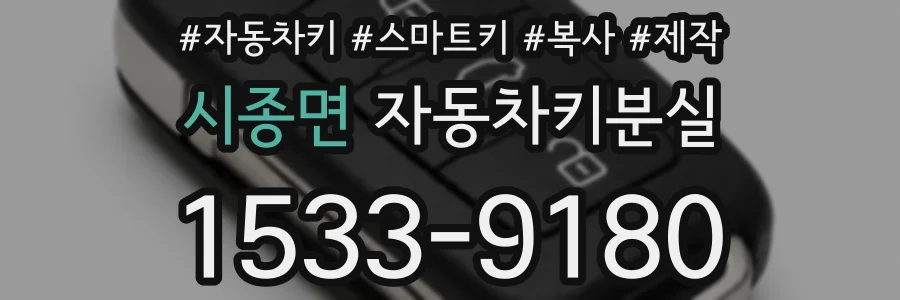 시종면 자동차키분실
