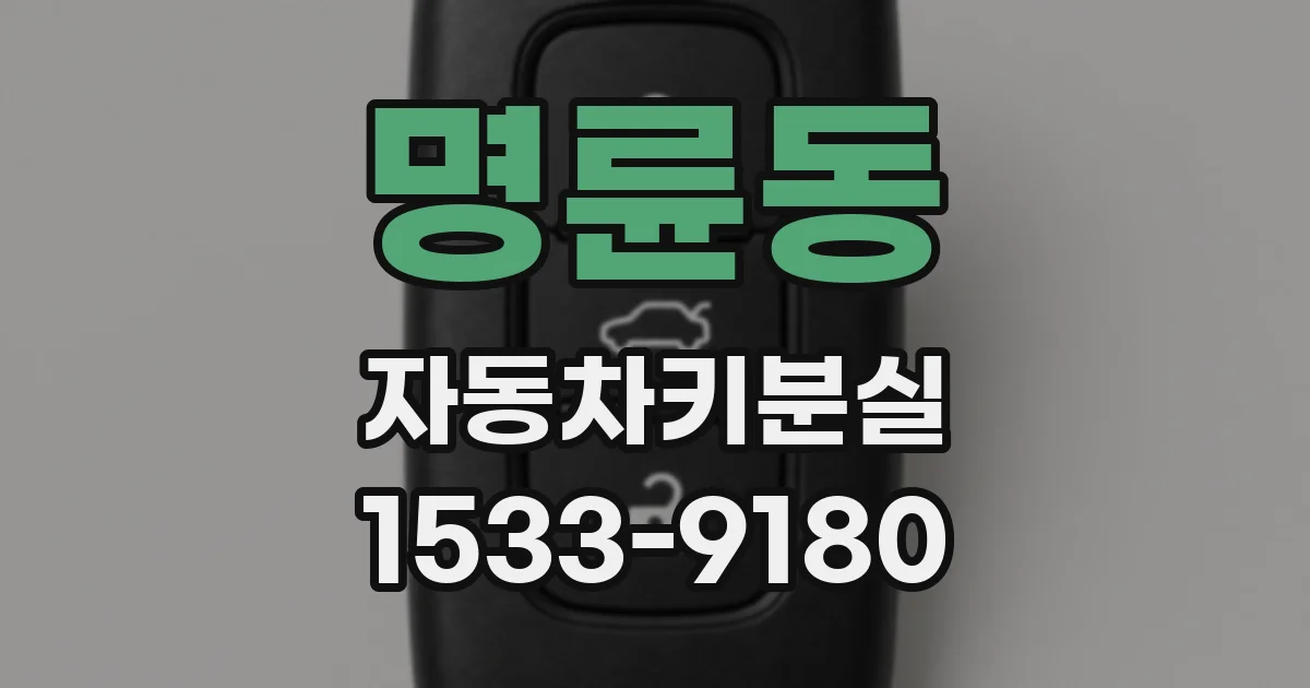 명륜동 자동차키분실