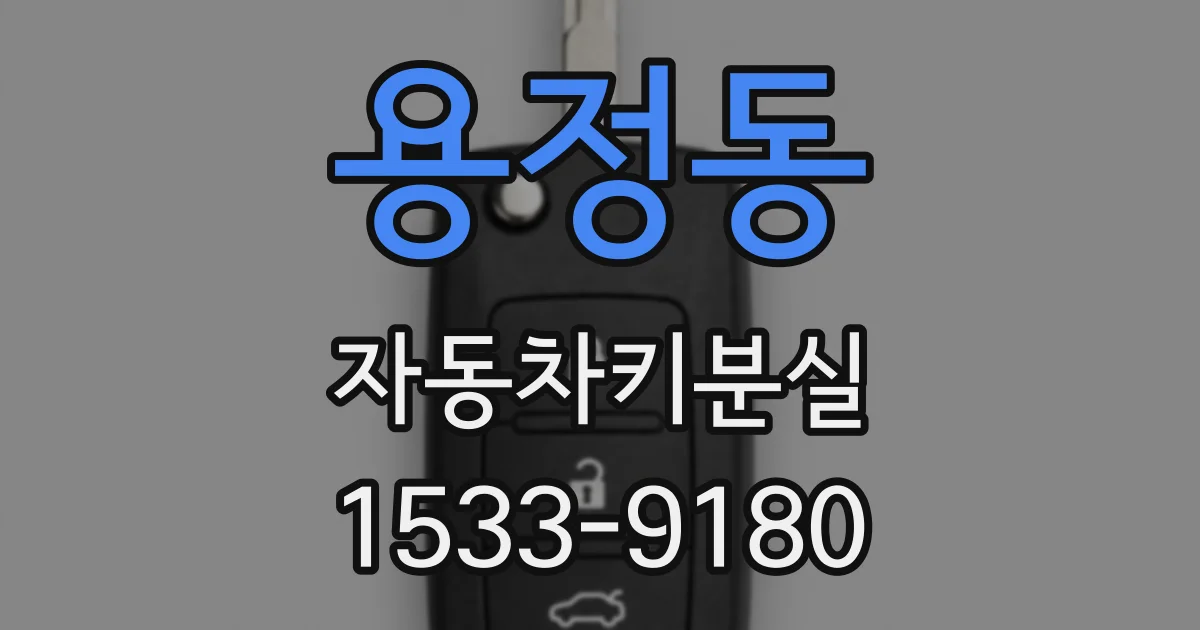 용정동 자동차키분실
