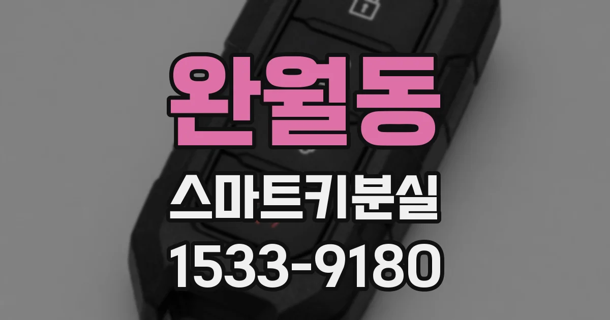 완월동 스마트키분실