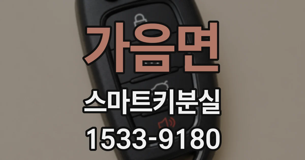 가음면 스마트키분실