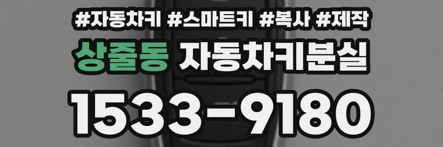 상줄동 자동차키분실