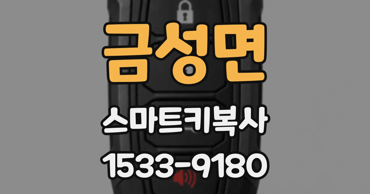 금성면 스마트키복사