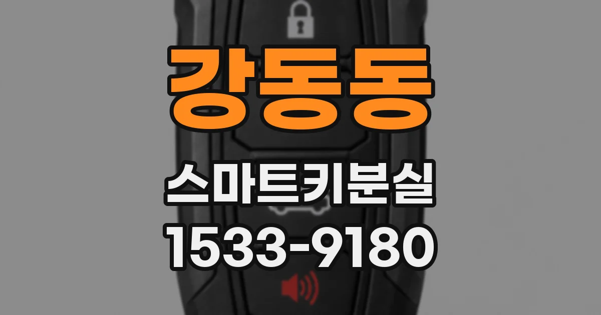 강동동 스마트키분실