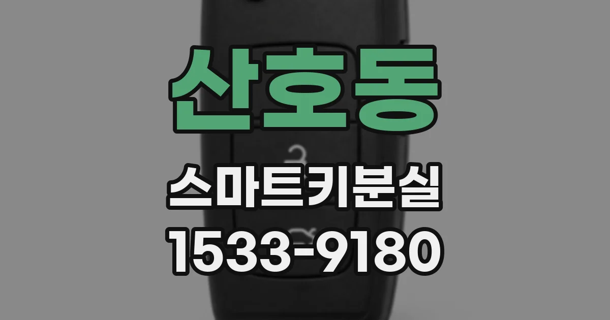 산호동 스마트키분실