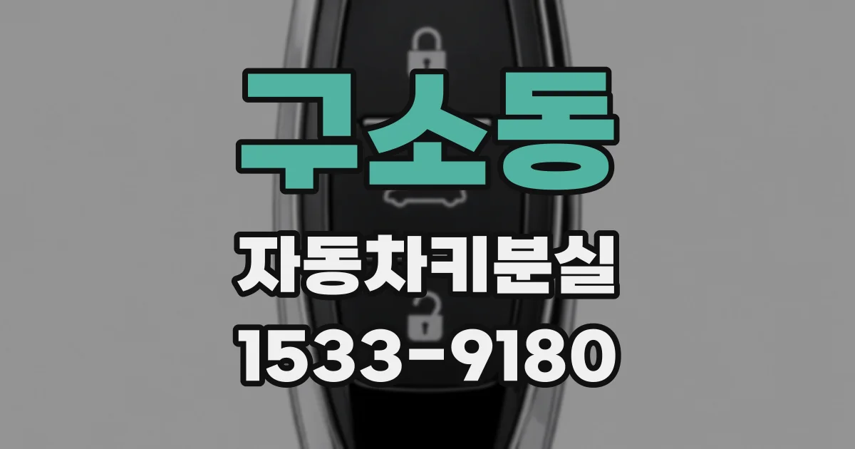 구소동 자동차키분실
