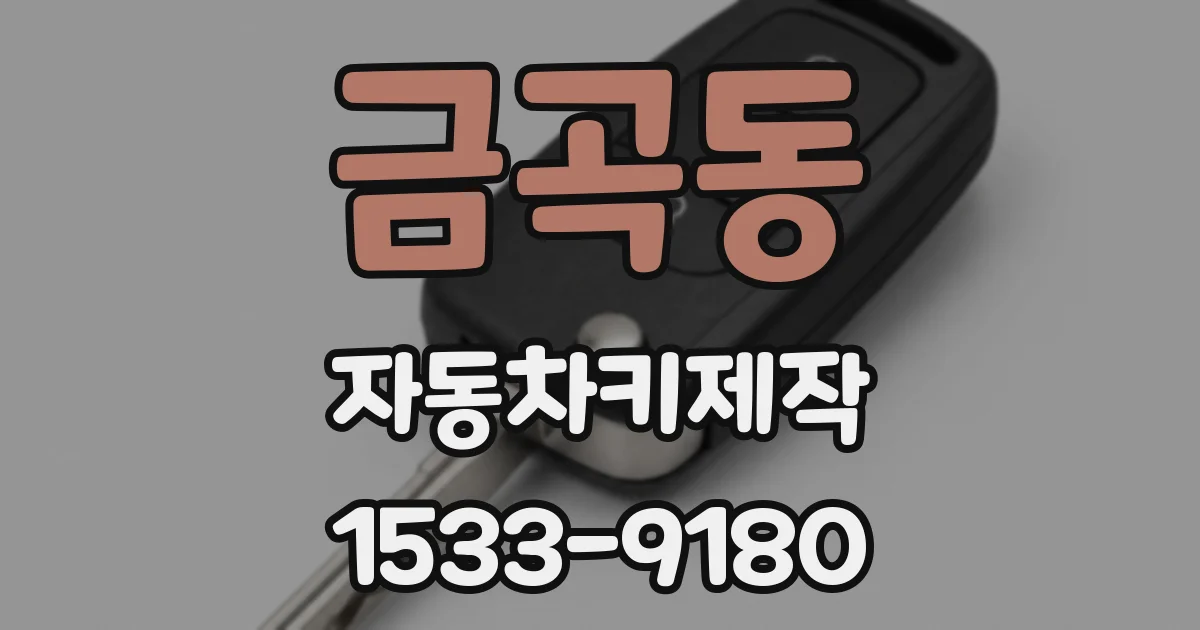 금곡동 자동차키제작