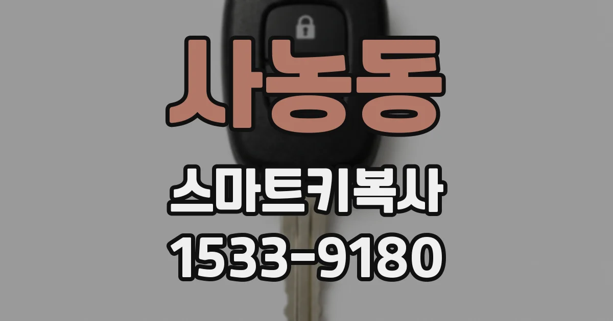 사농동 스마트키복사