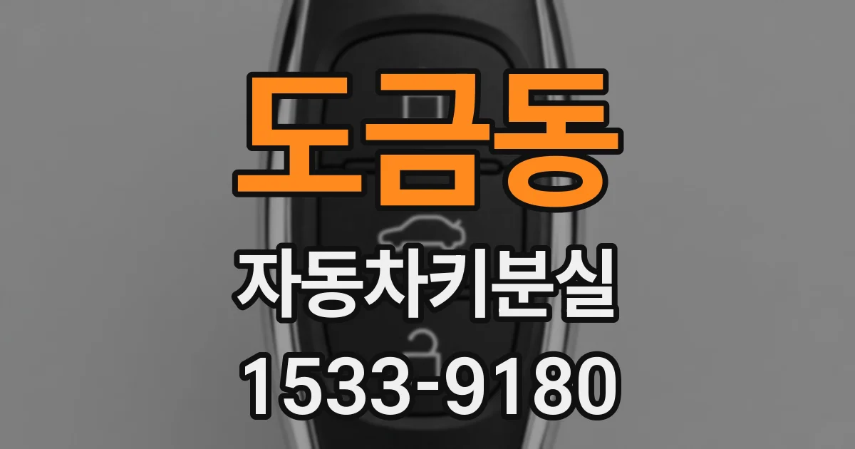 도금동 자동차키분실
