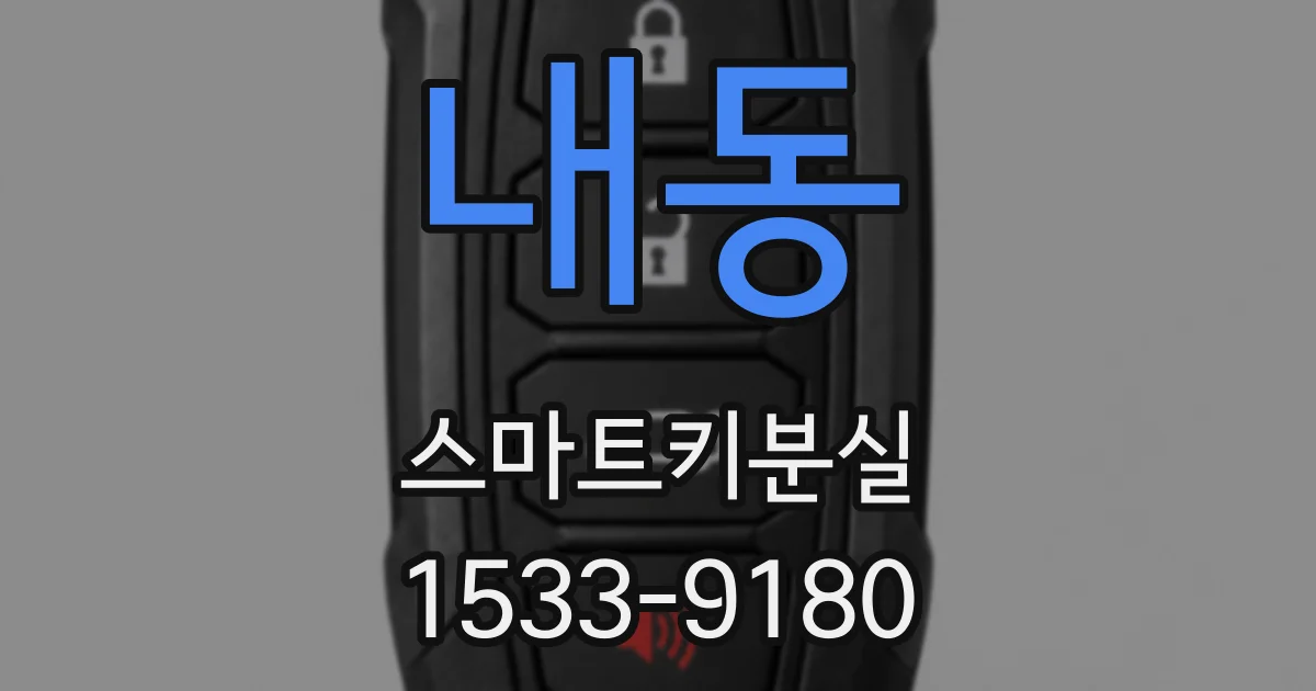 내동 스마트키분실