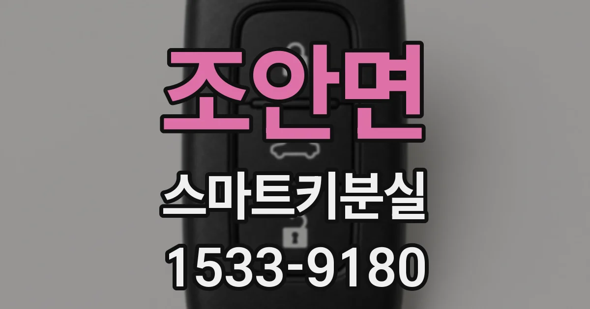 조안면 스마트키분실