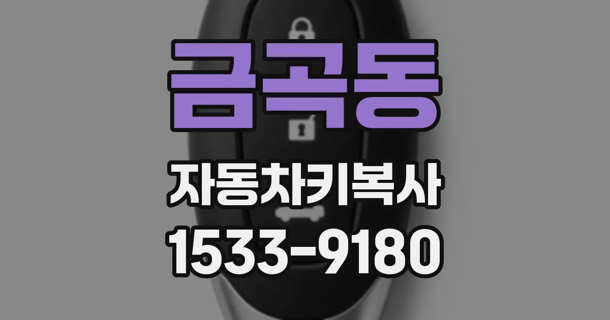 금곡동 자동차키복사