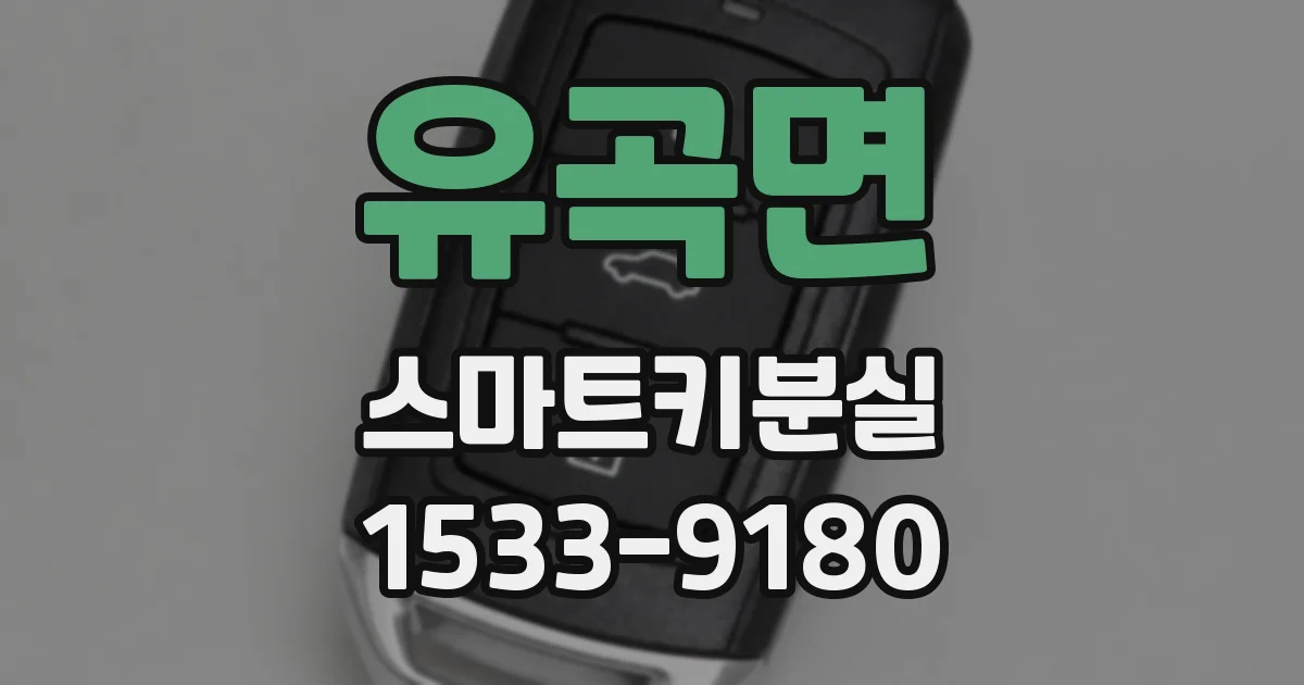 유곡면 스마트키분실