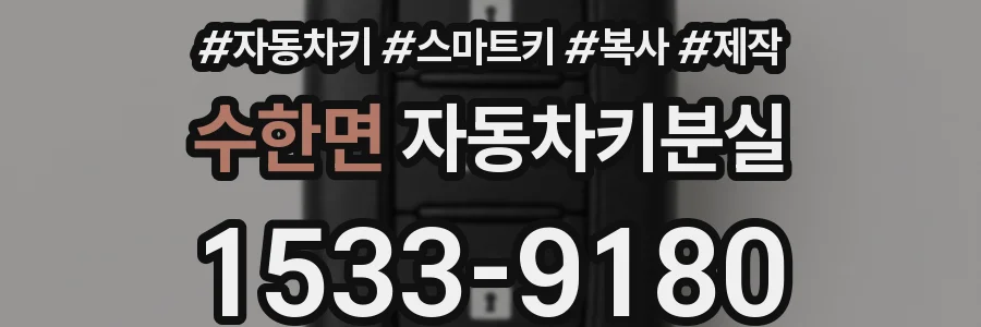 수한면 자동차키분실