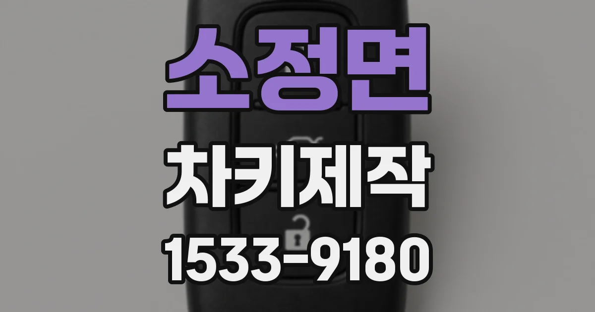 소정면 차키제작