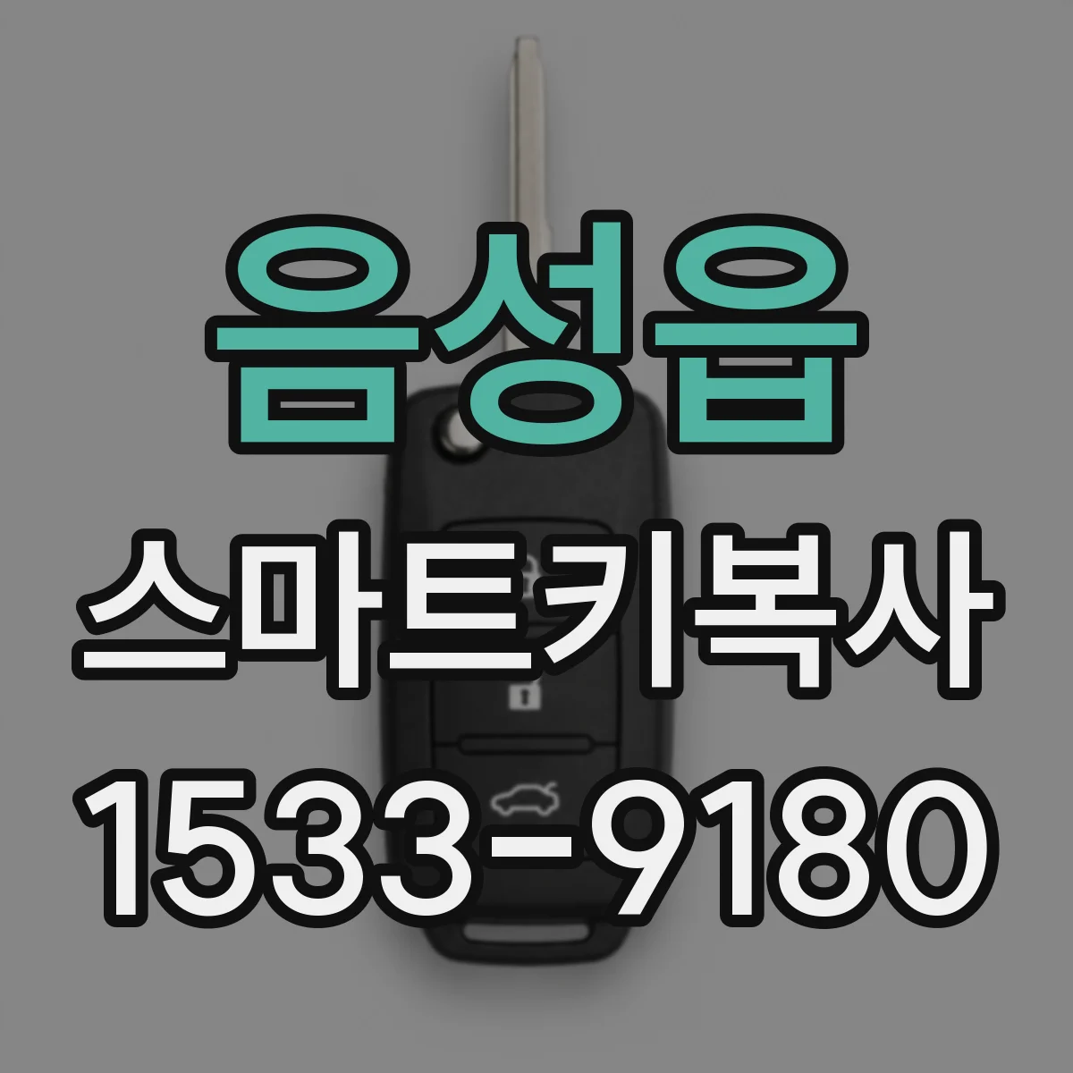 음성읍 스마트키복사