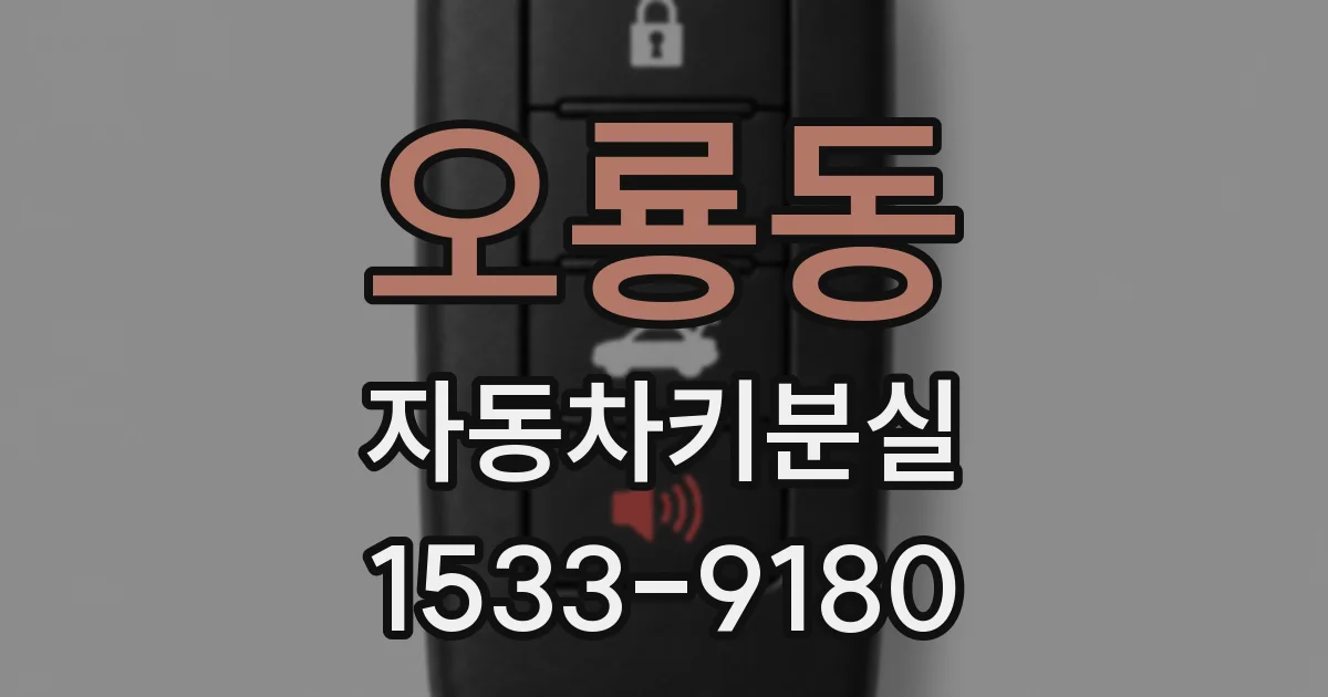 오룡동 자동차키분실