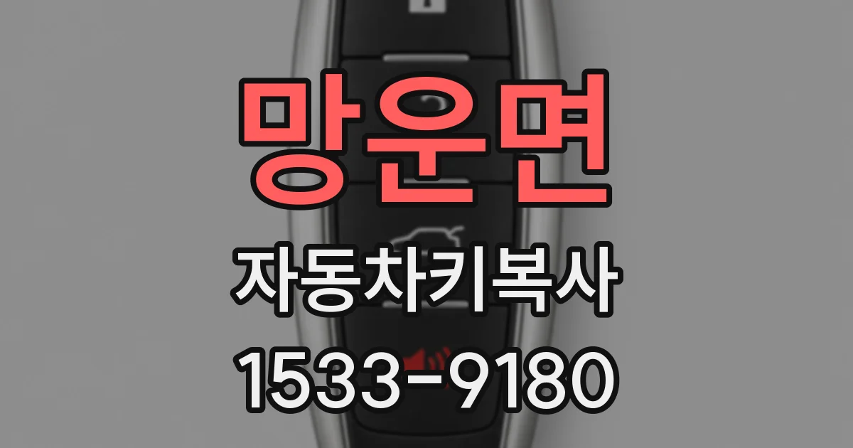 망운면 자동차키복사