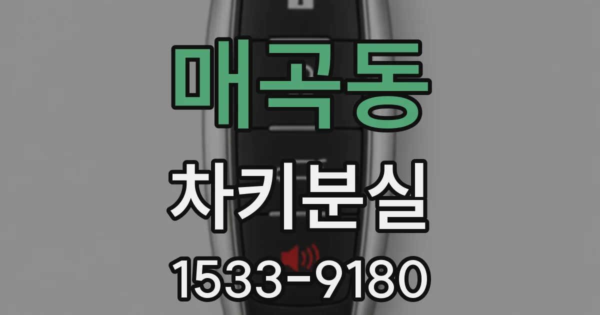 매곡동 차키분실