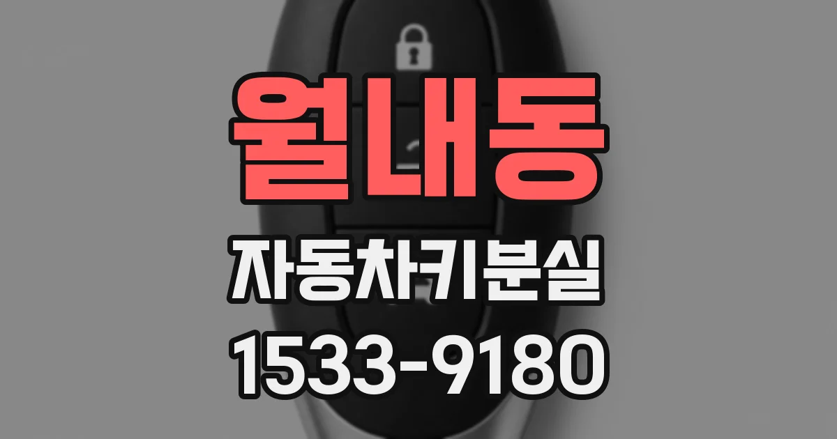 월내동 자동차키분실