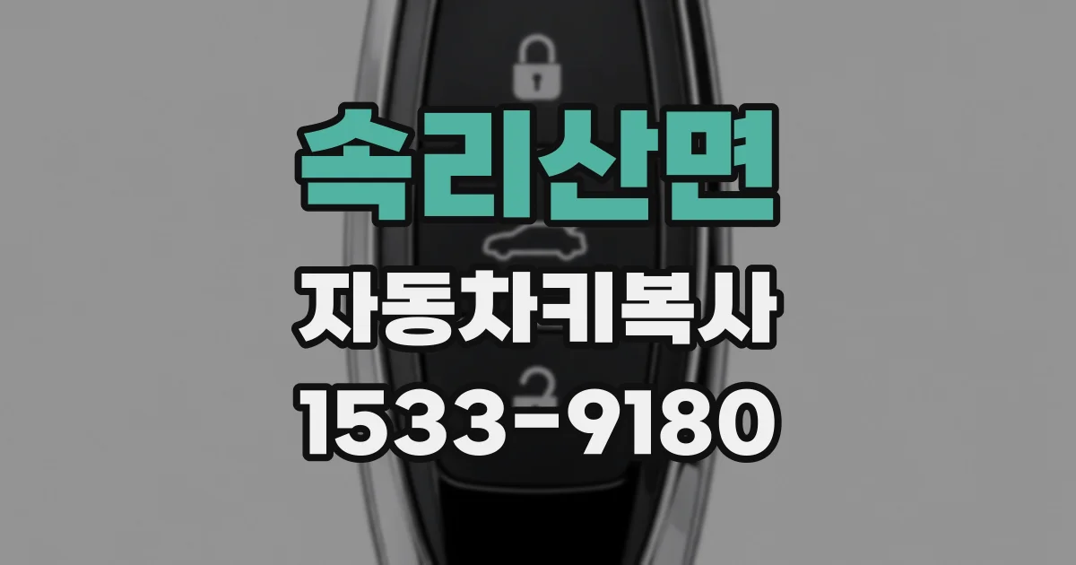 속리산면 자동차키복사