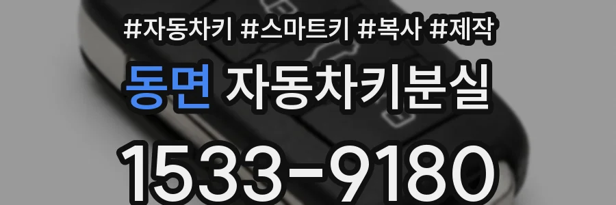 동면 자동차키분실