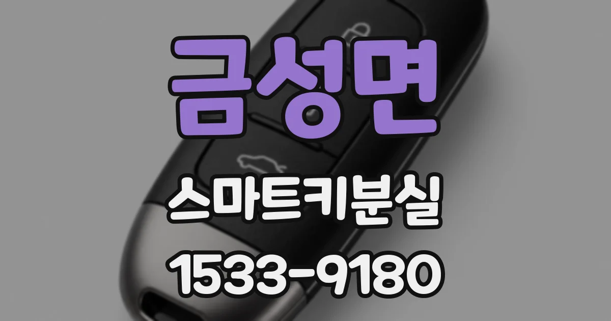 금성면 스마트키분실