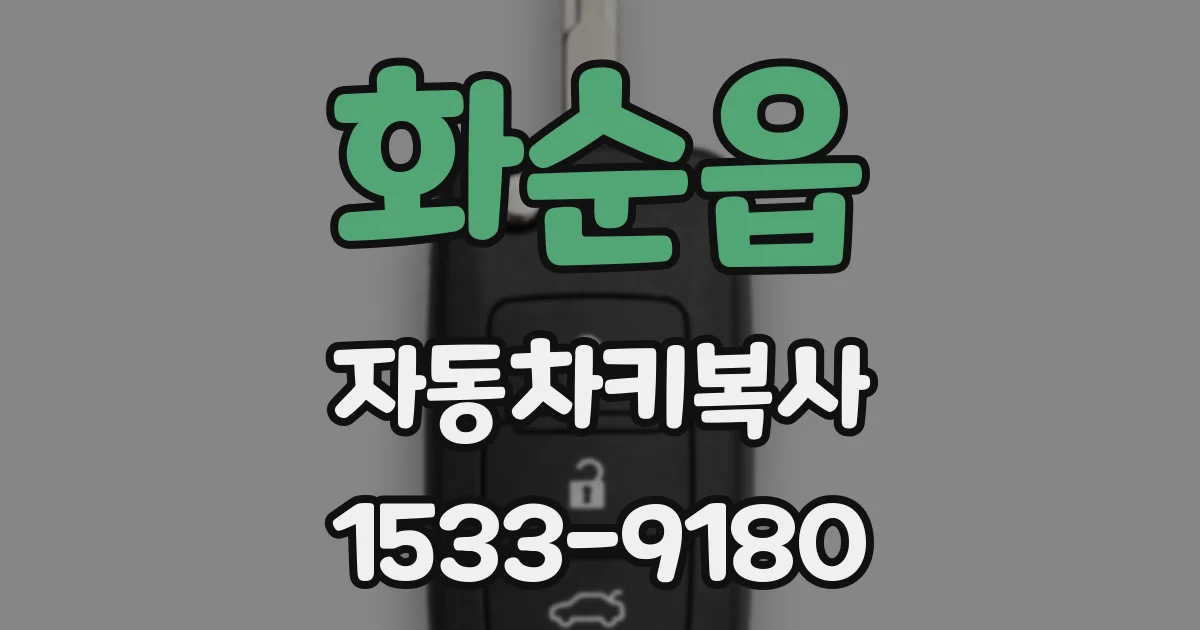 화순읍 자동차키복사