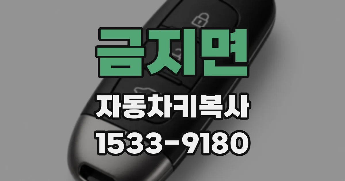 금지면 자동차키복사