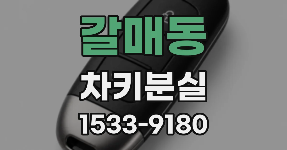 갈매동 차키분실