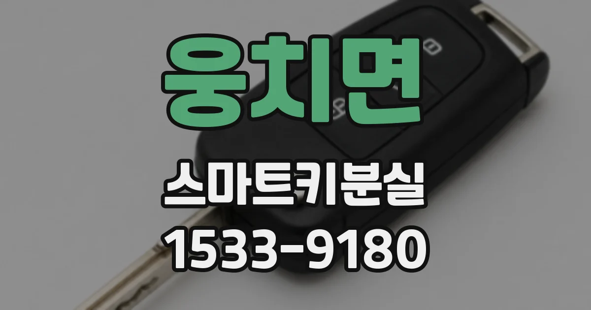 웅치면 스마트키분실