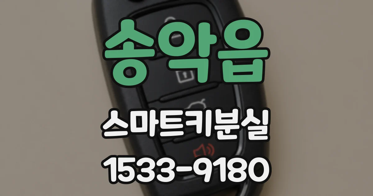 송악읍 스마트키분실