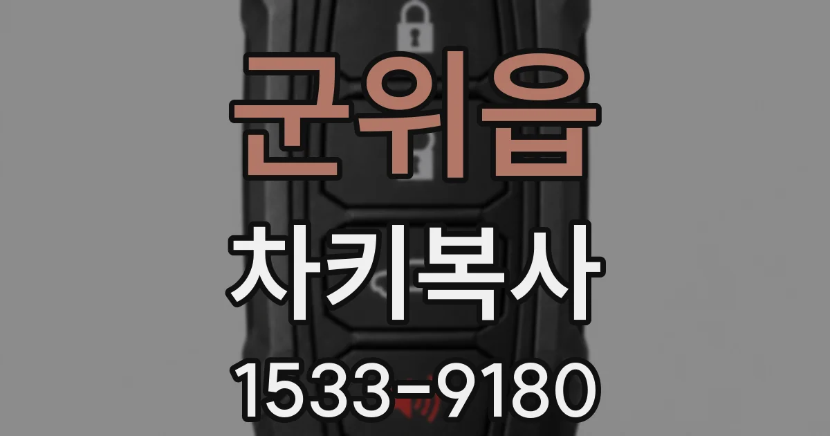 군위읍 차키복사