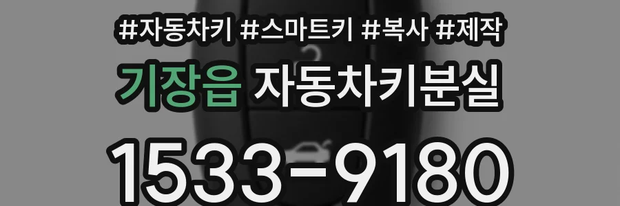 기장읍 자동차키분실