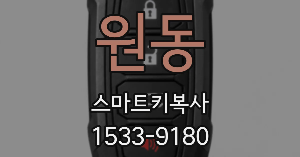 원동 스마트키복사