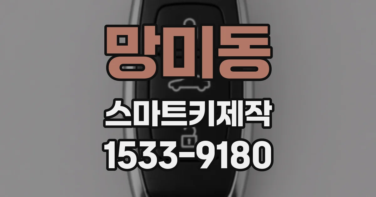 망미동 스마트키제작