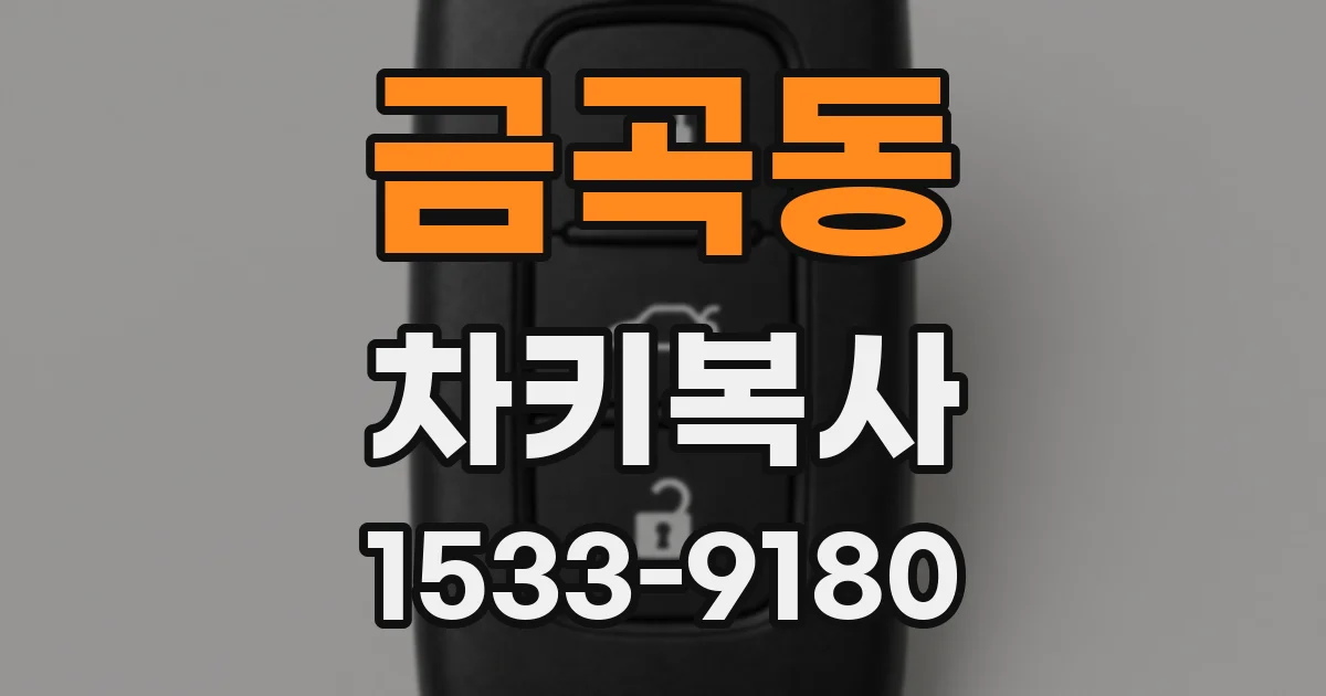 금곡동 차키복사