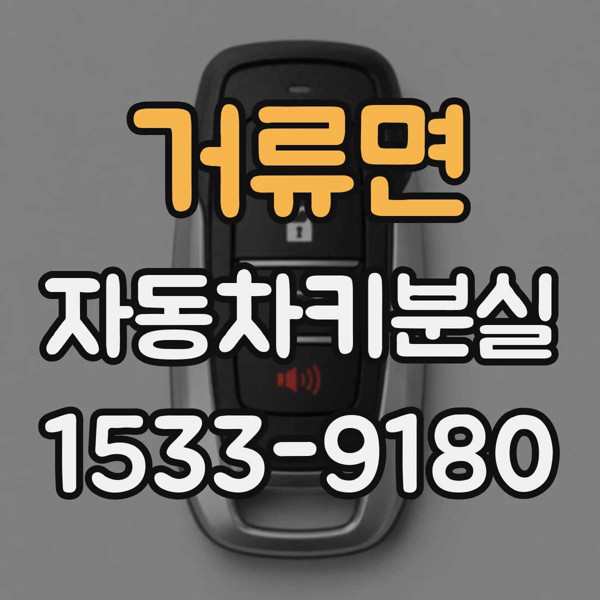 거류면 자동차키분실