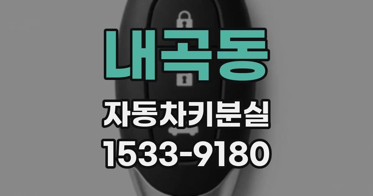 내곡동 자동차키분실
