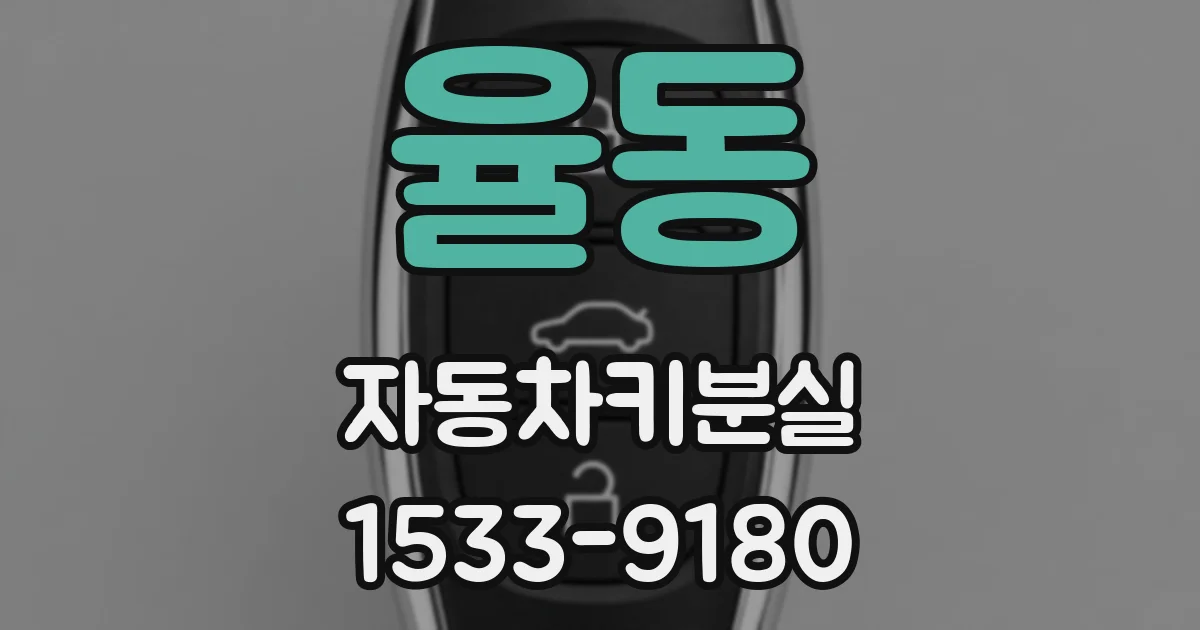 율동 자동차키분실