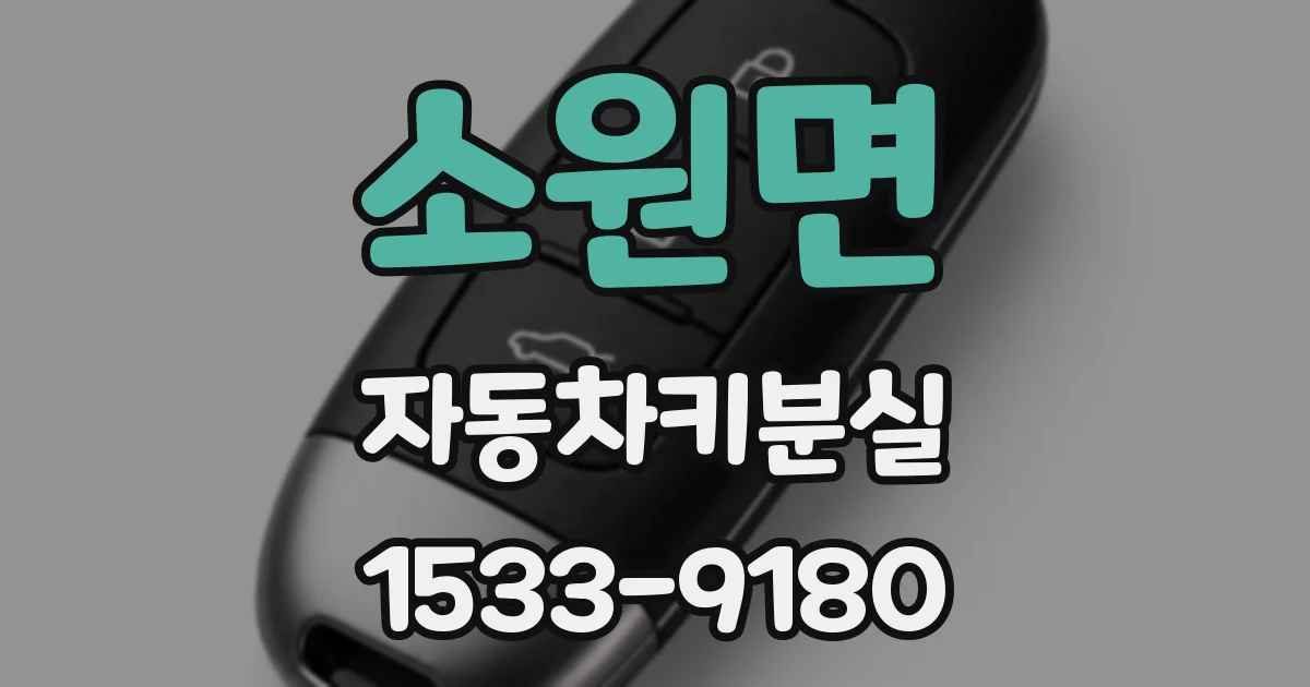 소원면 자동차키분실