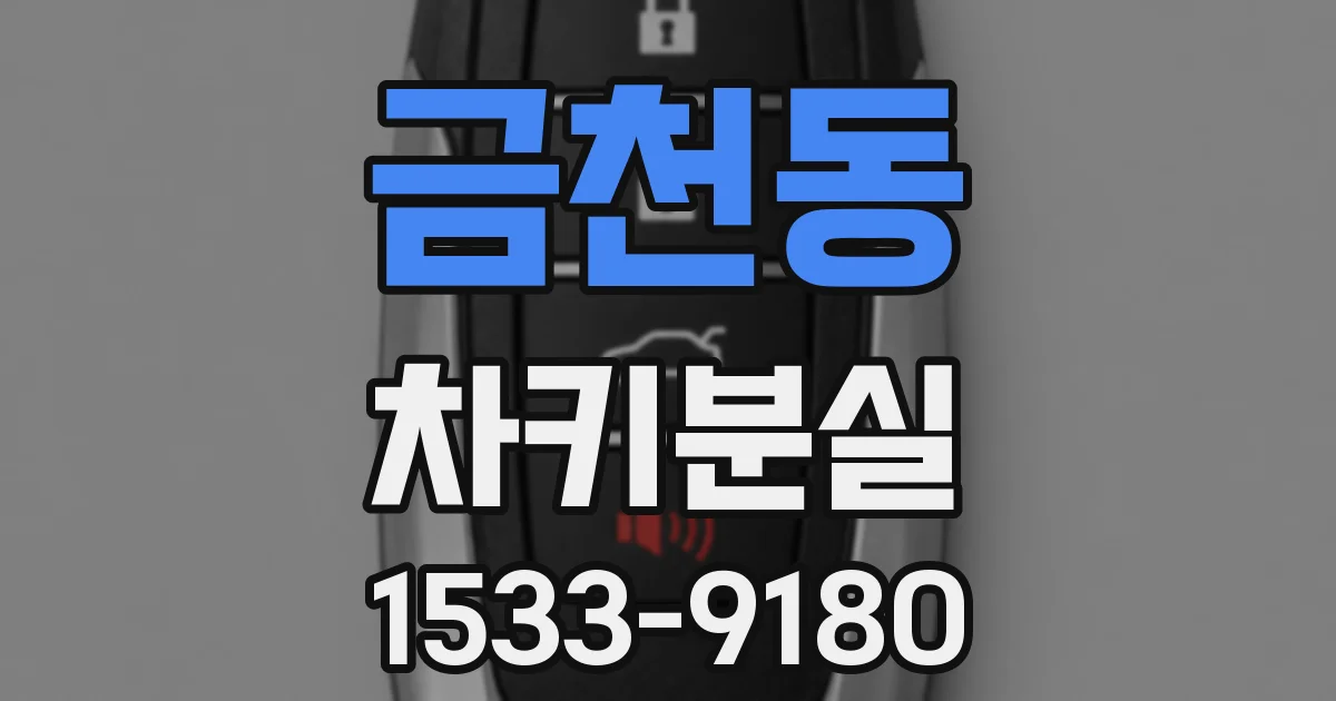 금천동 차키분실