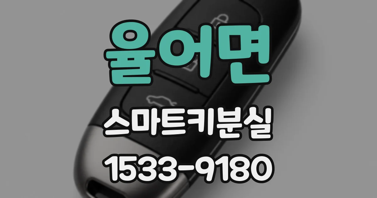 율어면 스마트키분실