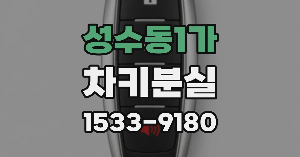 성수동1가 차키분실
