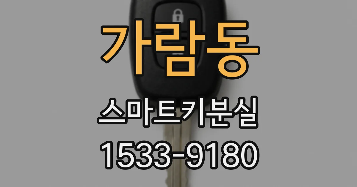 가람동 스마트키분실