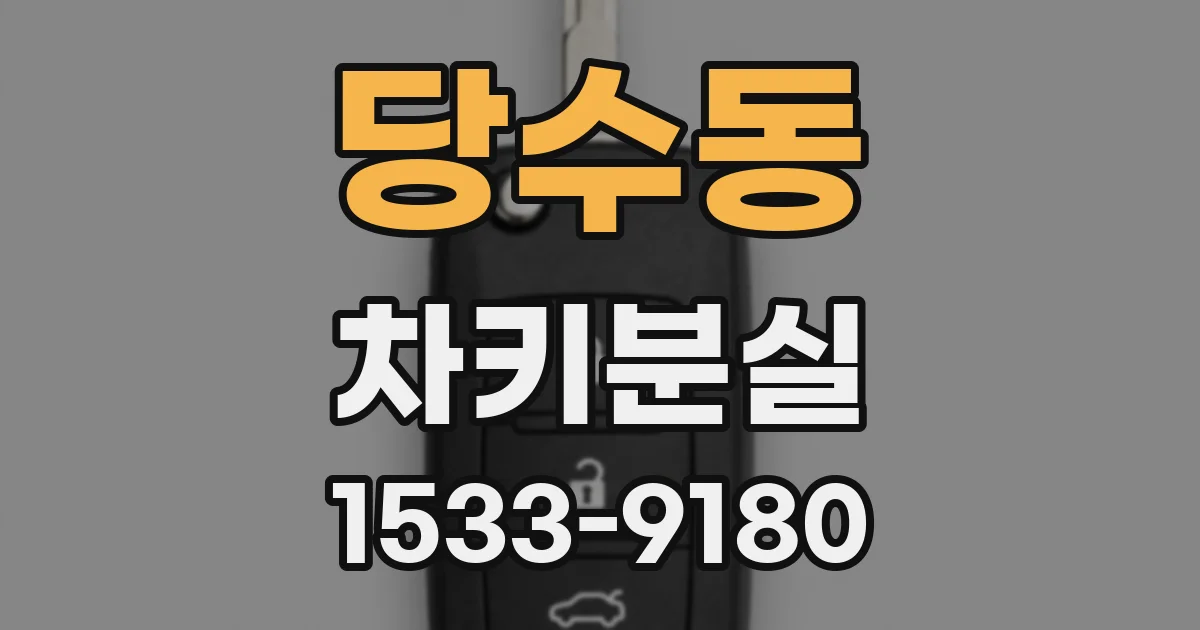 당수동 차키분실