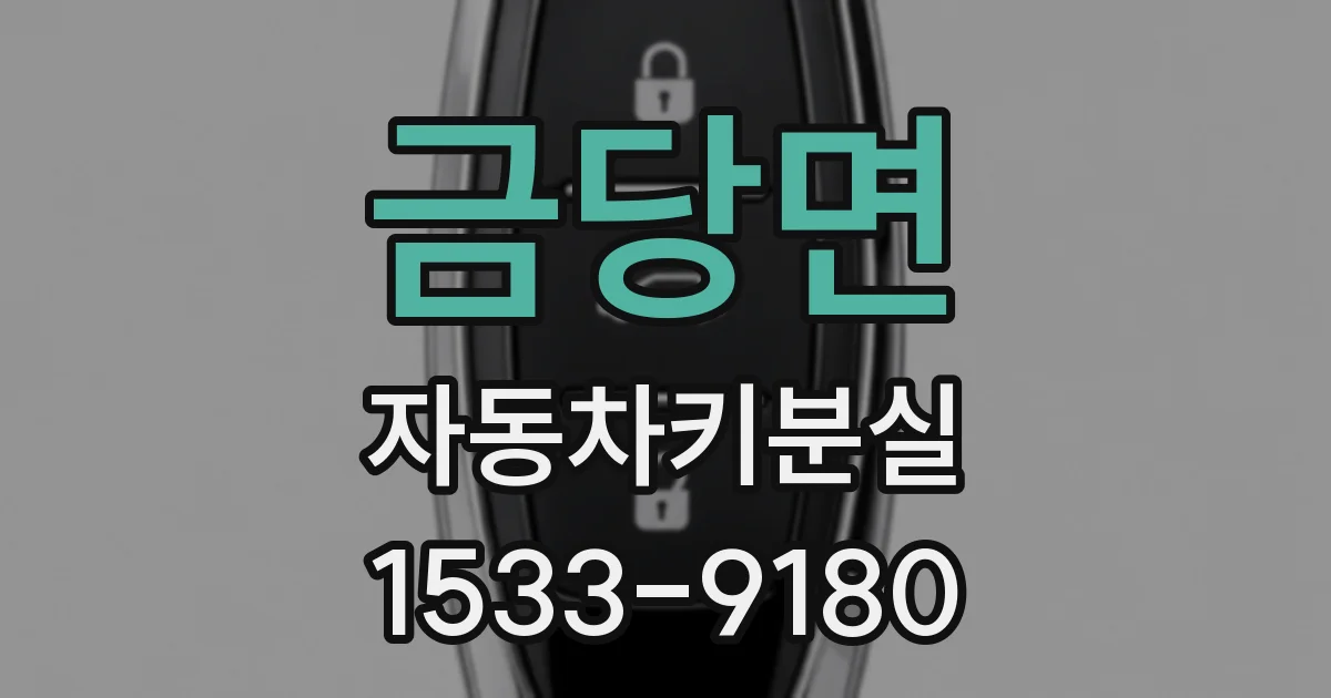 금당면 자동차키분실