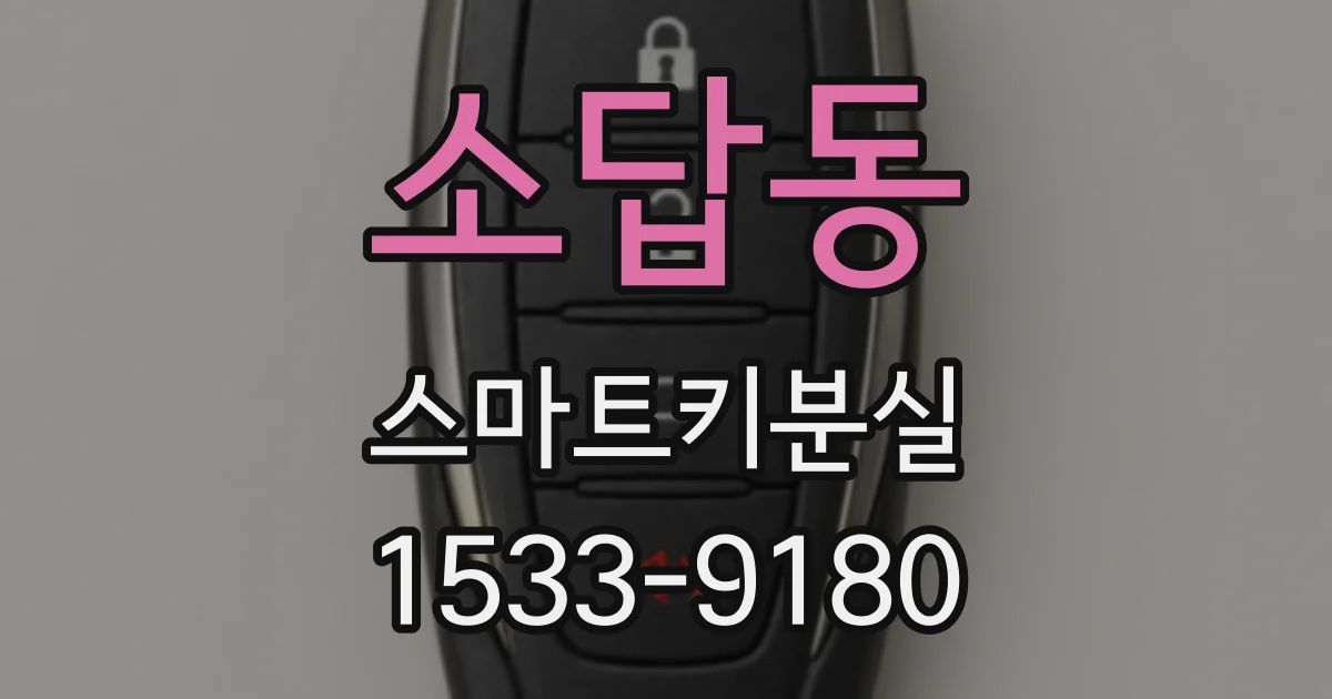 소답동 스마트키분실