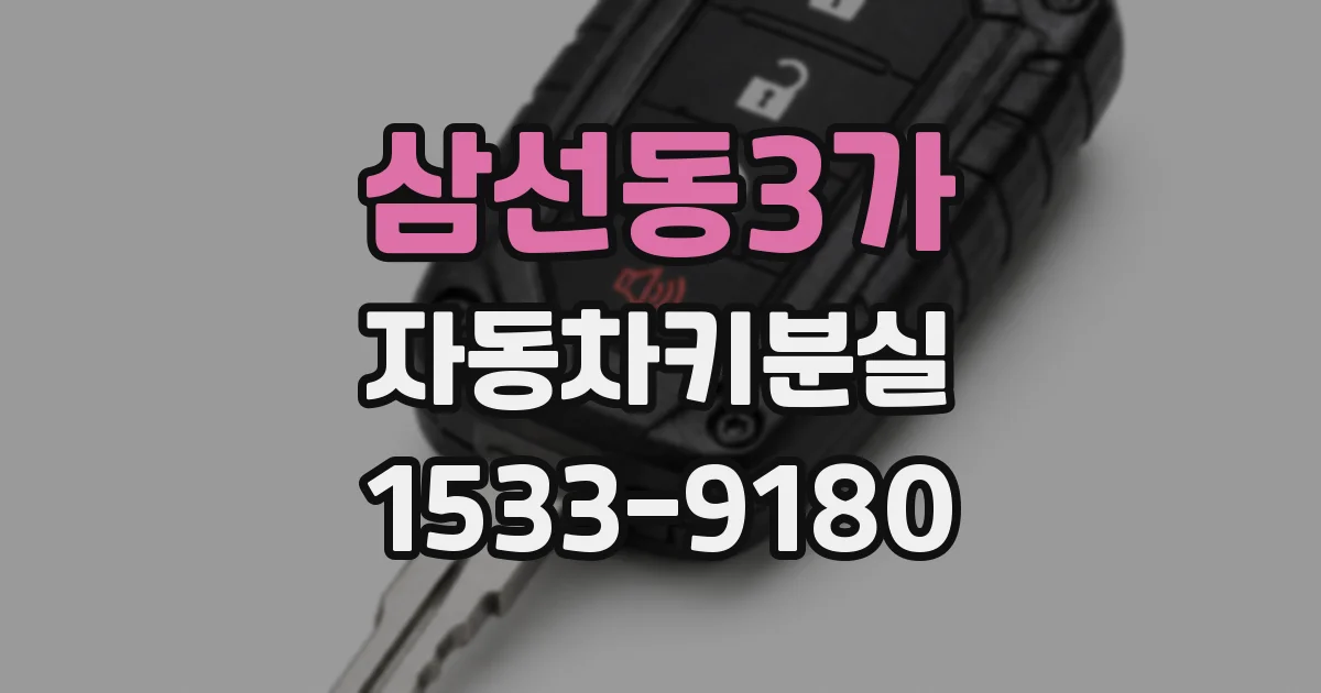 삼선동3가 자동차키분실
